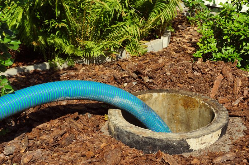 Septic System Dye Testing